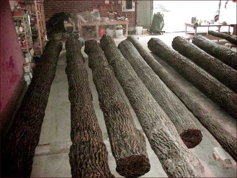 仿真樹電線桿.jpg 仿真樹電線桿